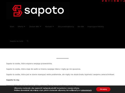 Sapoto.agency asystentka biura