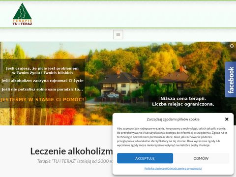 Alkoholizm.org.pl terapia Tu i Teraz