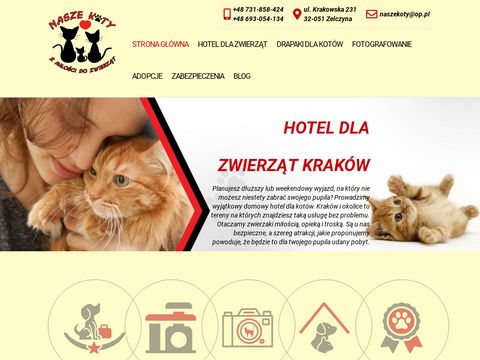 Nasze-koty.com.pl - hotel dla kota Kraków
