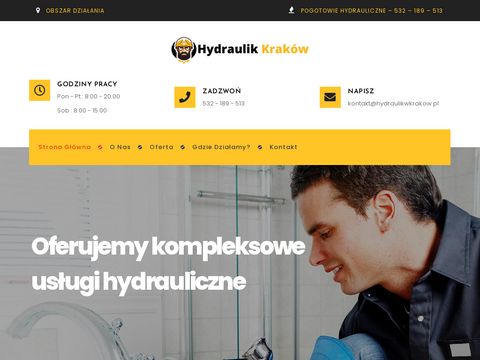 Hydraulikwkrakow.pl - przetykanie WC
