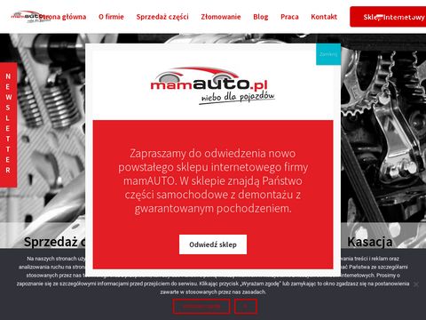 Mamauto.pl skup samochodów sprzedaż części