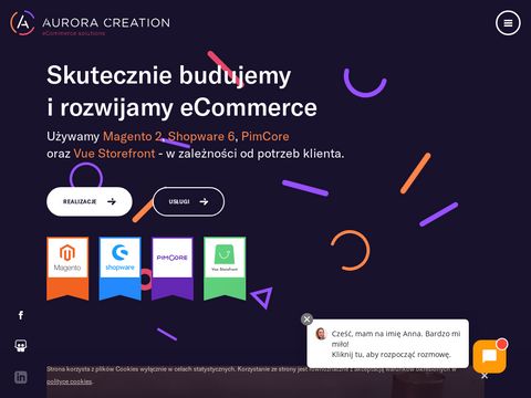 Aurora Creation - sklepy internetowe