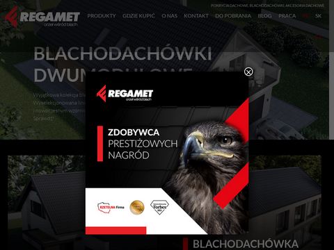 Regamet.com.pl rynny PCV i metalowe