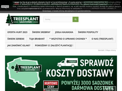 Treesplant.pl sadzonki świerk srebrny, pospolity jodła