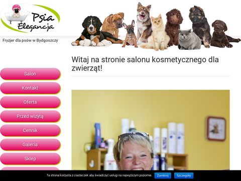 Psia Elegancja - fryzjer dla psów w Bydgoszczy